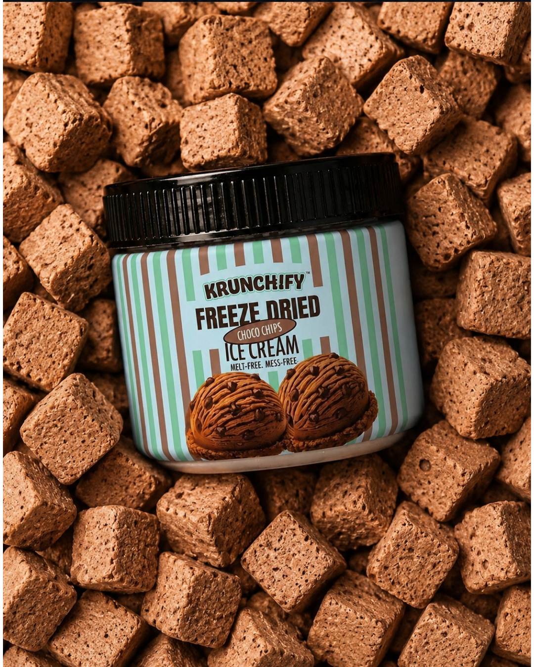 Freeze Dried Choco Chips Ice Cream