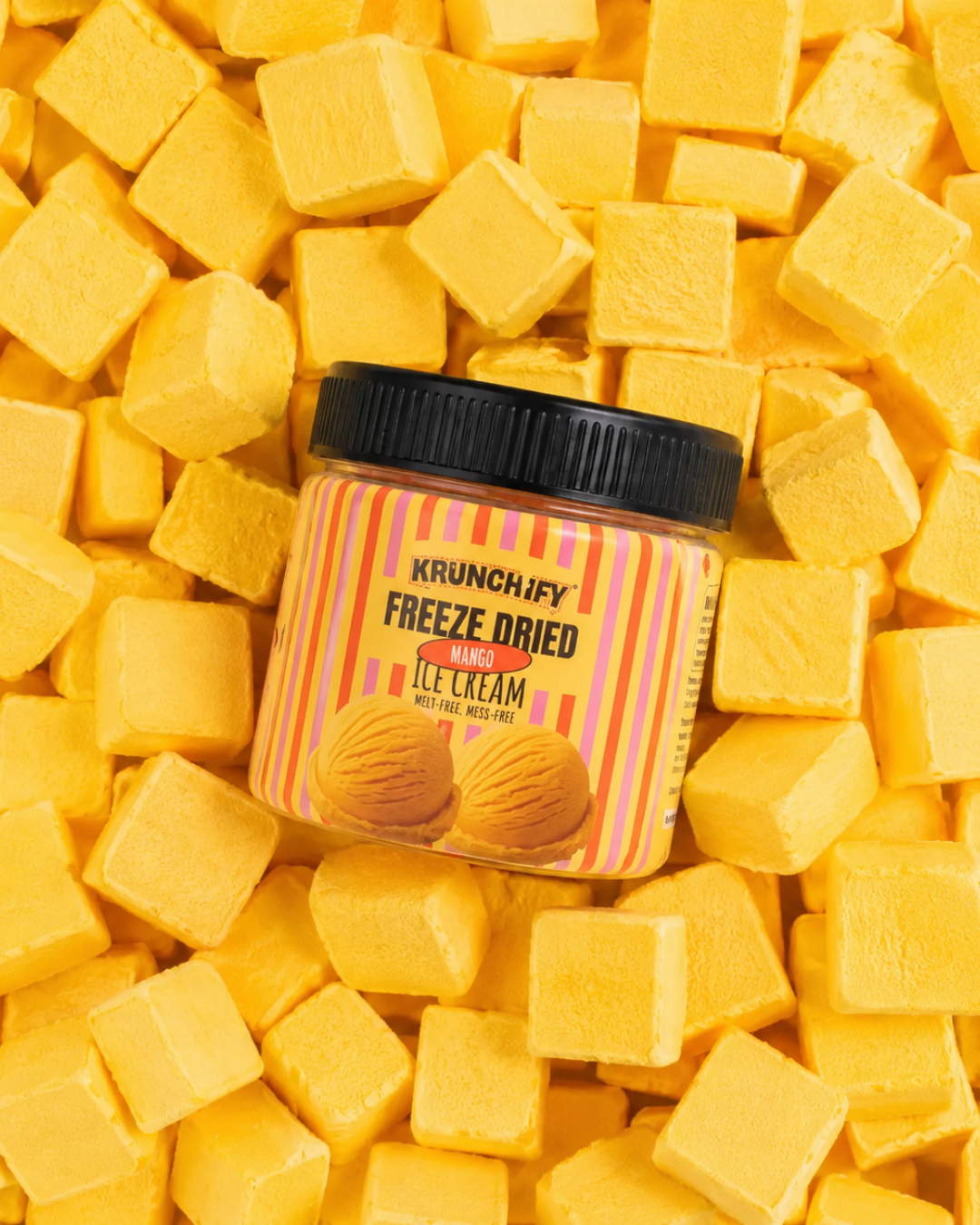 Freeze Dried Mango Ice Cream
