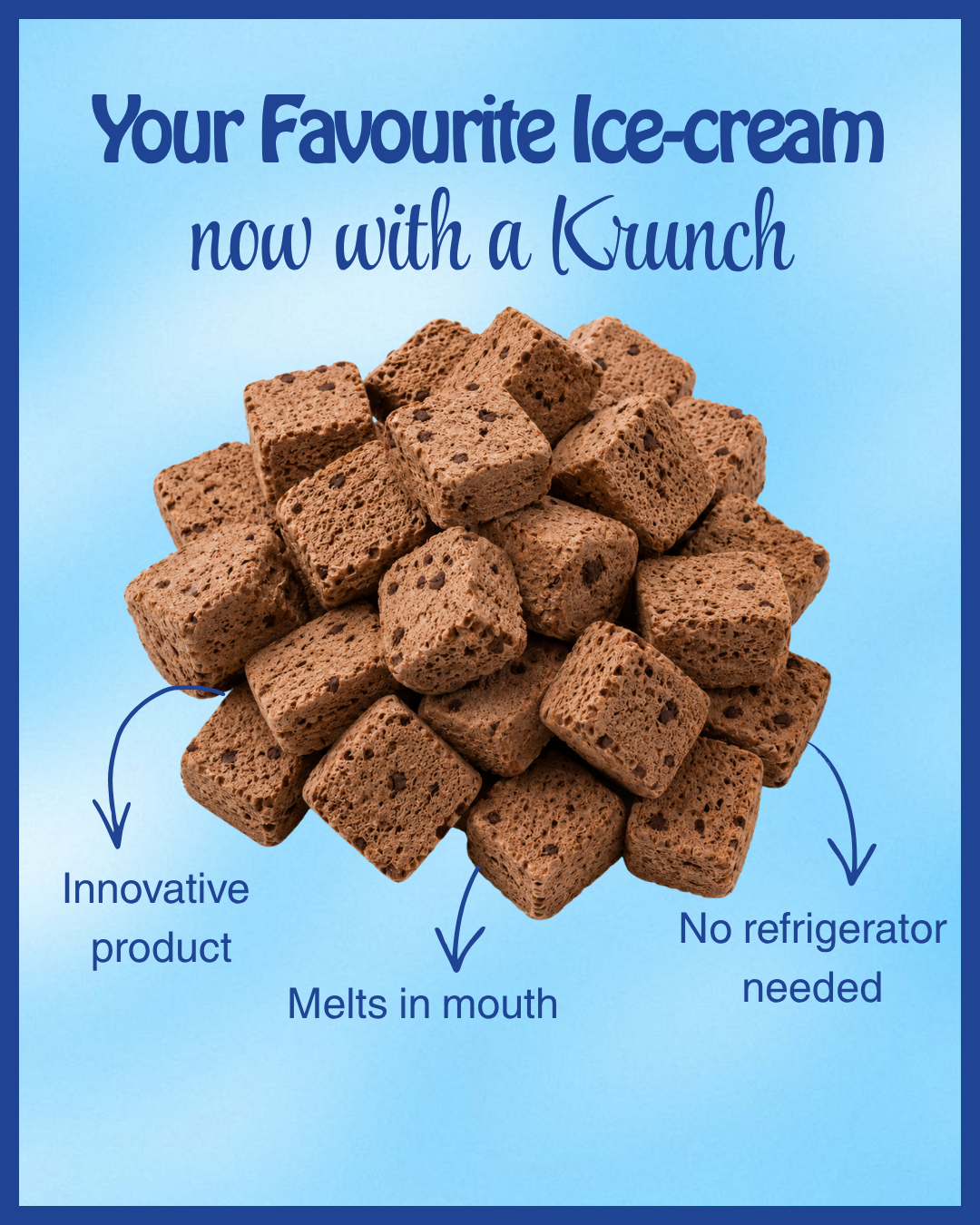 Freeze Dried Choco Chips Ice Cream